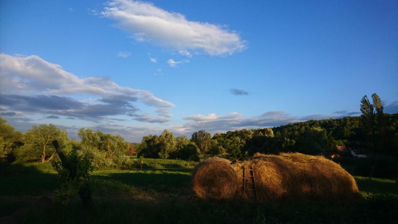 Szellos Ret Camping Balvanyos Екстер'єр фото